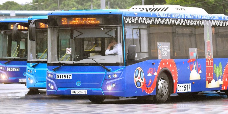 автобусы-2.jpg