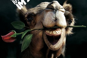 Названы лучшие немецкие outdoor-кампании 2012 года