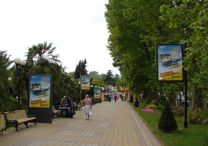 Наружная реклама в Сочи может остаться только на остановках