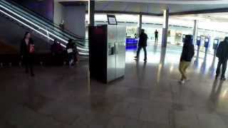 Стань другом мёртвой девушки