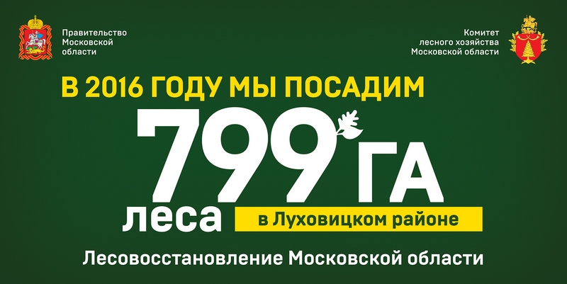 Социальная реклама информирует жителей Подмосковья об акциях по восстановлению леса