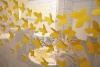 [002] IMG_7206