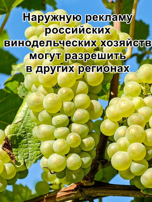 Наружную рекламу российских винодельческих хозяйств