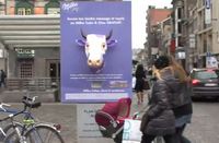 Milka обменивает пирожные на sms