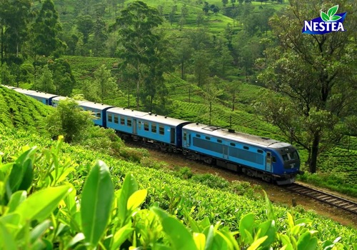 Nestea предлагает насладиться моментом