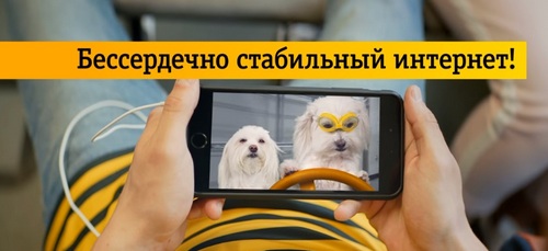 «Билайн» представил бессердечно стабильный интернет 