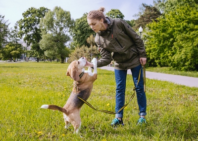 BBDO Moscow предложило Pedigree стать «медиумом» между детьми и родителями