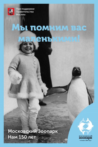 Пингвин.jpg