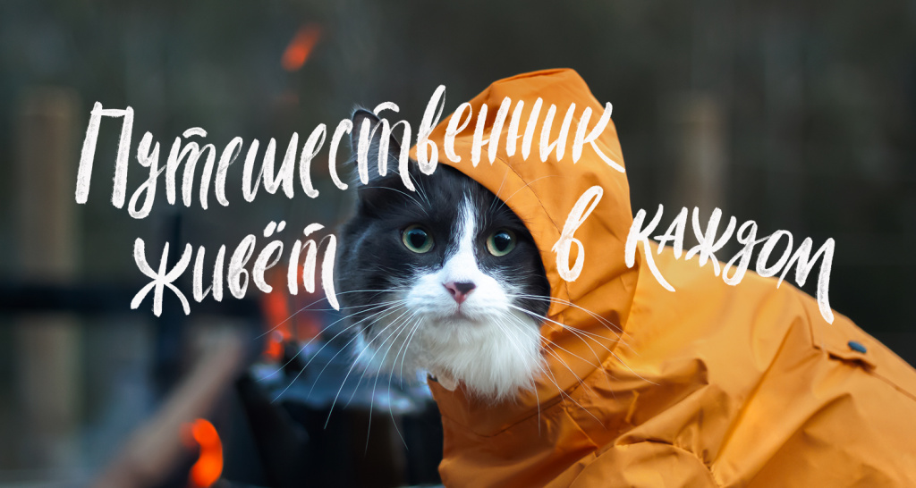 S7 pets.jpg
