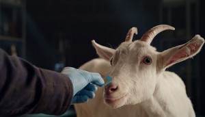 MOST_Creative_Club_Tele2_goat.jpg